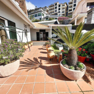 Garden area with red tiles and tropical plants