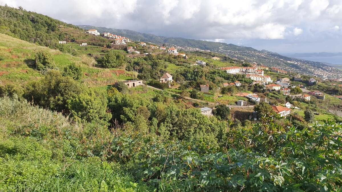 Rural Land Options to build on. Image of green fields in tranquil rural area of Madeira Island
